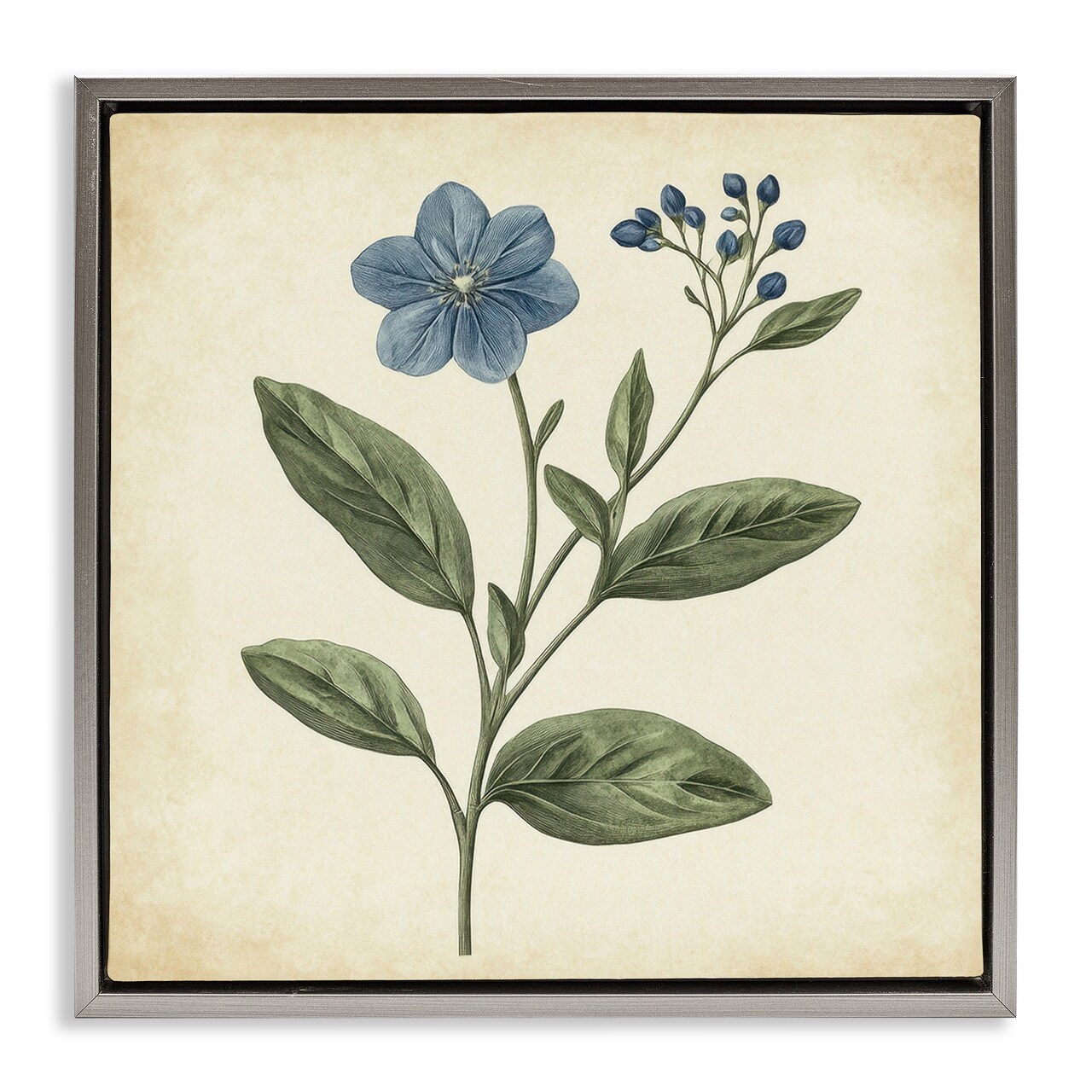 Stupell Industries Vintage Blue Blossoms Wildflower Floating Frame, design by Petal Prints Design